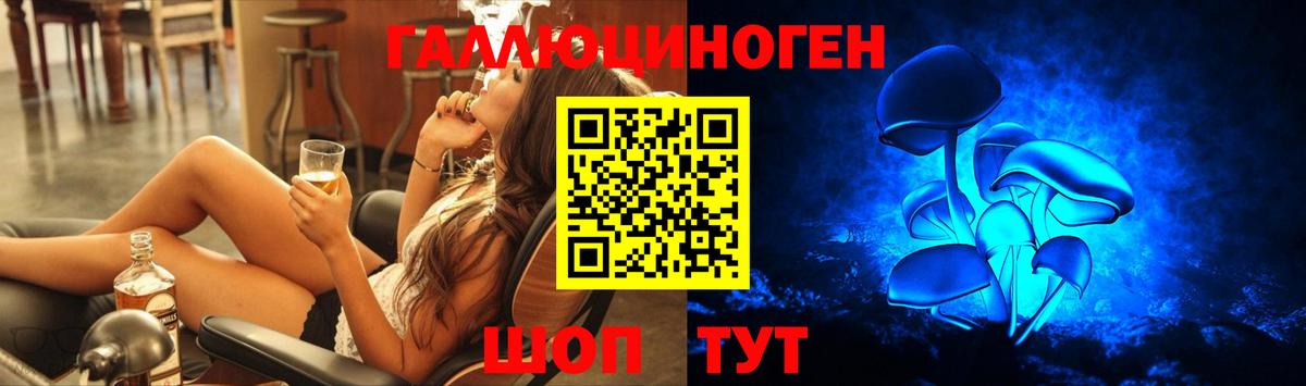 Галлюциногенные грибы MAGIC MUSHROOMS  Вход с VPN  купить наркотик  Архангельск 