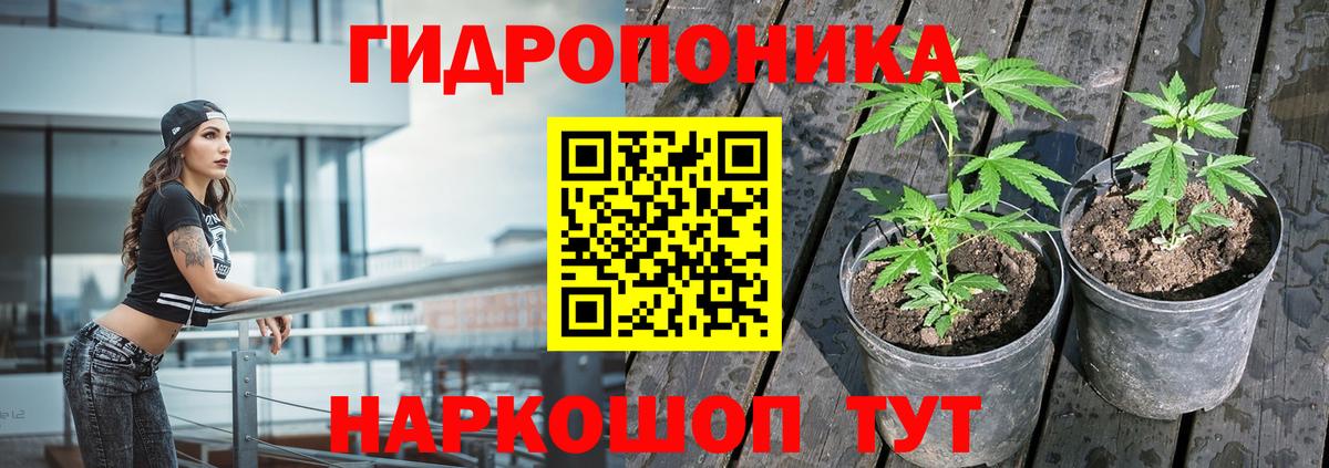 Конопля AK-47 Архангельск